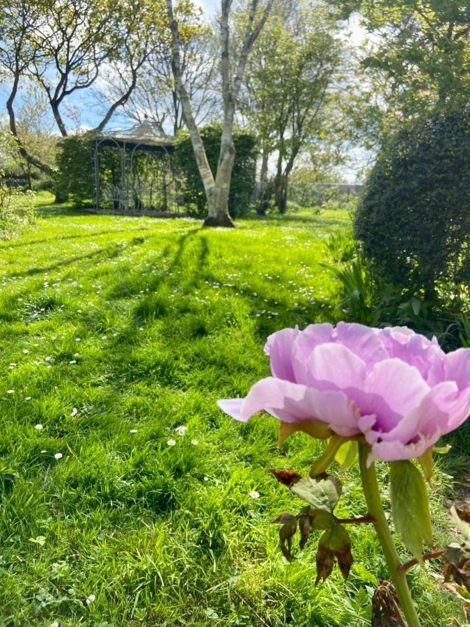 La Ptite Normande Panzió Saint-Germain-de-Tournebut Kültér fotó